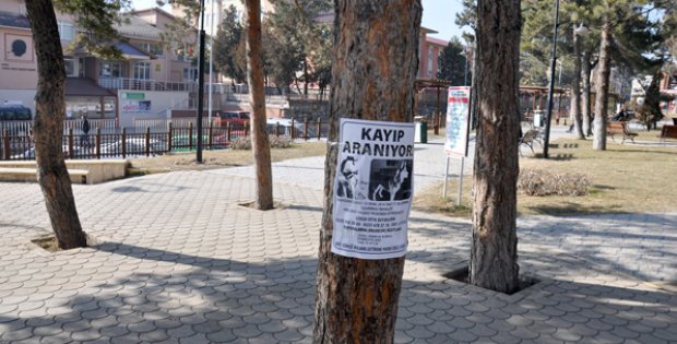 Kayıp Köpeğinin Başına Ödül Koydu