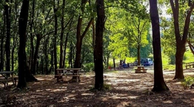 İstanbul'da Mesire Alanlara Kiraya Veriliyor 