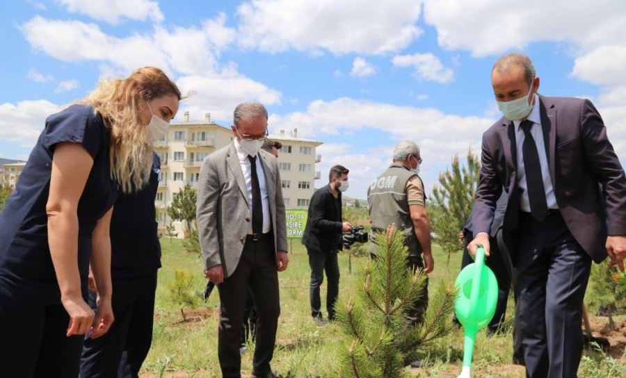 Hatıra Ormanı Oluşturuldu