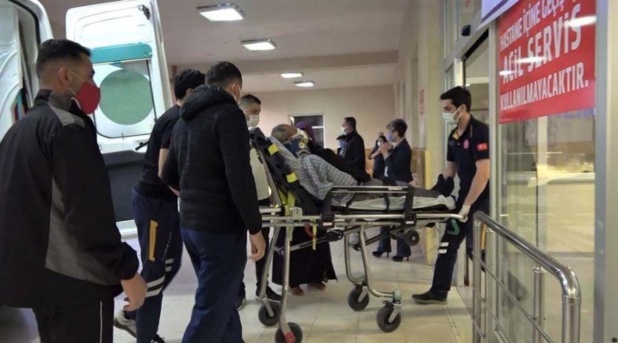 Eşeğin Saldırısına Uğrayan Yaşlı Adam Yaralandı