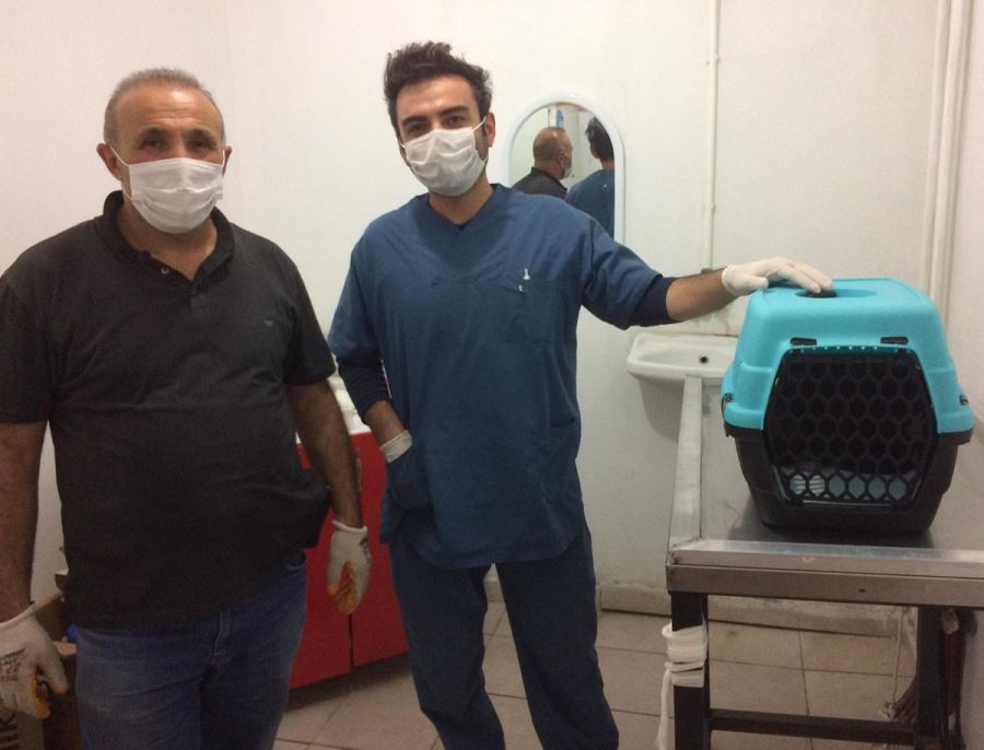 Ulaş'ta Sokak Kedilerini Besleyen Esnaf Çevresine Örnek Oluyor