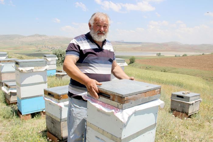 Kuraklık Arıcıları Endişelendirdi