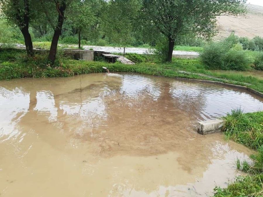 Tonlarca Alabalık Kayıp