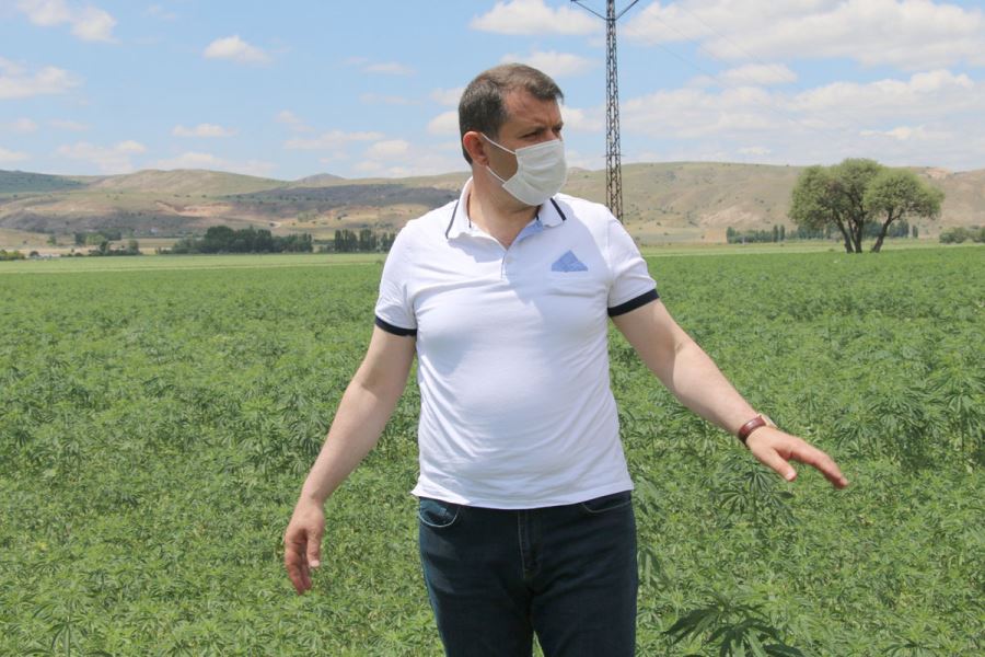 Üretici Ekecek  Sivas Kazanacak