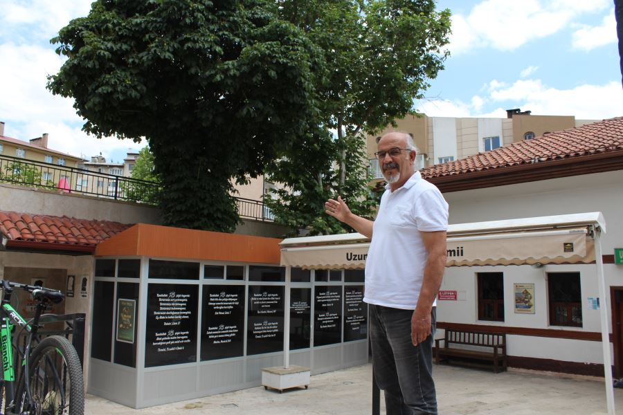 Ağaçları Kesmeye Gönülleri El Vermedi