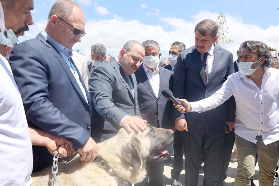 44 Milyar Liralık Yatırım Yaptık--Video