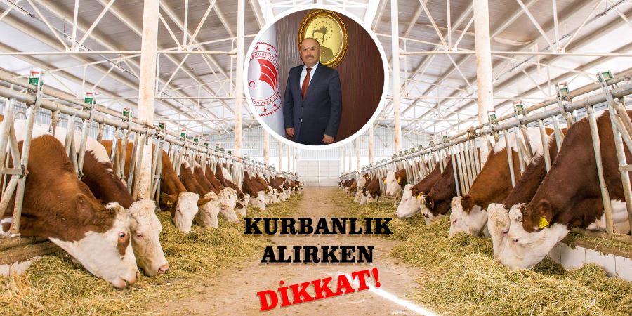 Kurbanlık Hayvan Alırken Dikkat