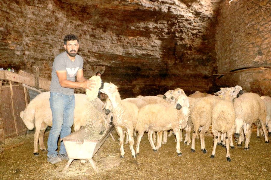 Kurban Olmak İçin Yola Çıktılar