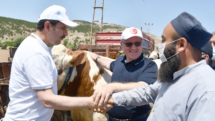 Vali ve Başkan Pazarın En Büyük İki Kurbanlığını Satın Aldı 