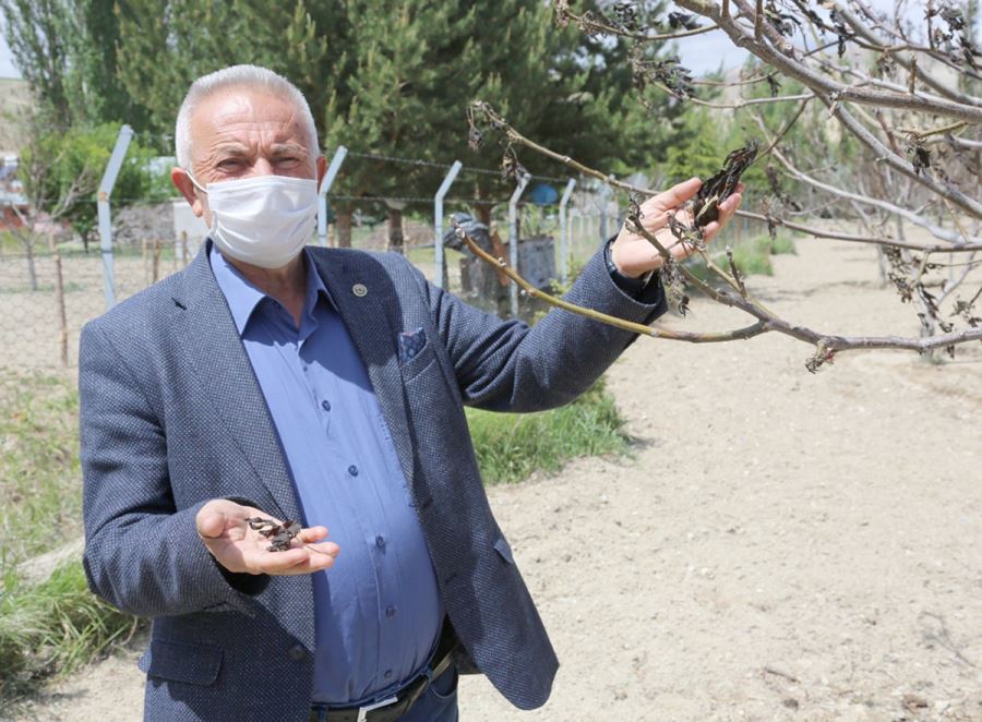 Anız Yakanlar Dikkat, Para Cezası Uygulanıyor