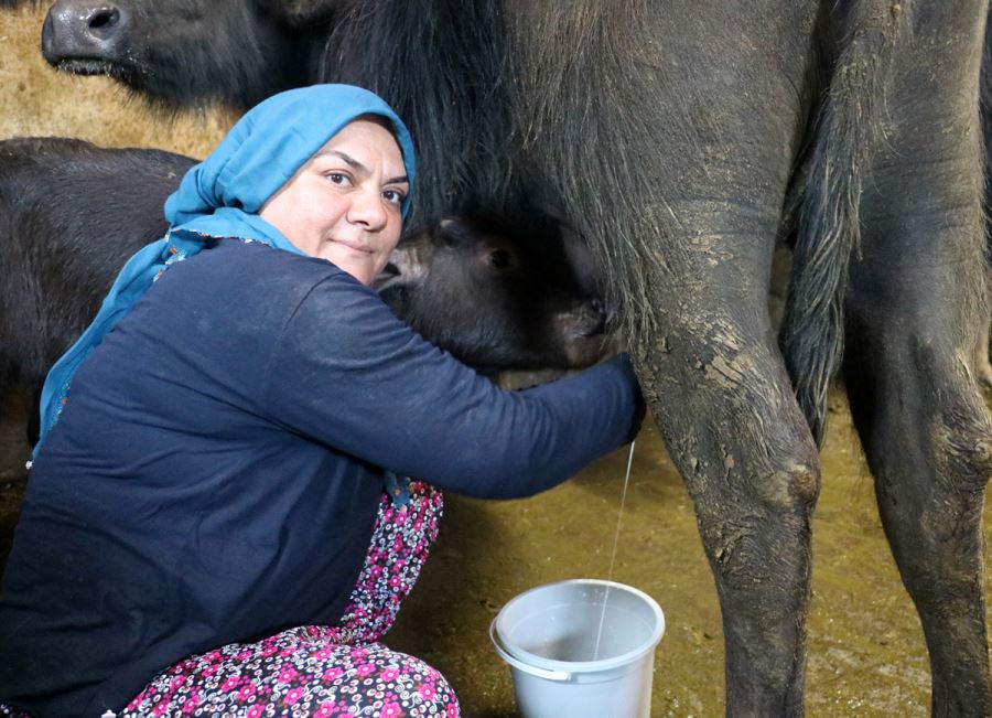 Bu Sütün Fiyatı Normalinin 3 Katı 