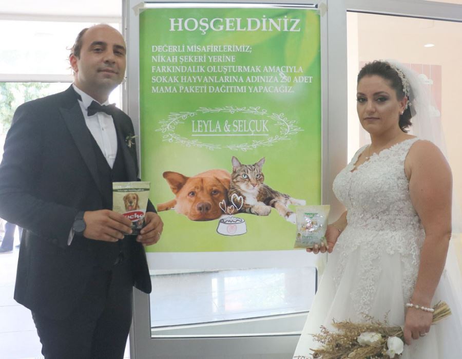 'Evet' Dediler, Mama Dağıttılar 