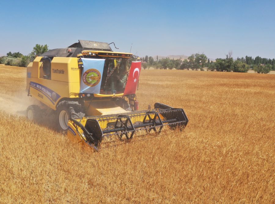 Zeron Buğdayının Hasadını Yapıldı