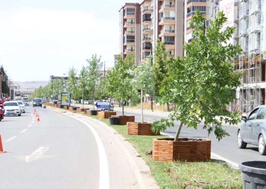 Bağdat Caddesi Ağaçlandırılıyor