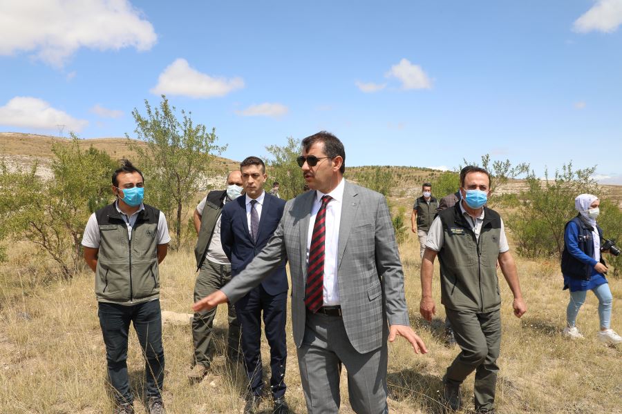 5 Bin Fidan Dikilecek--Video