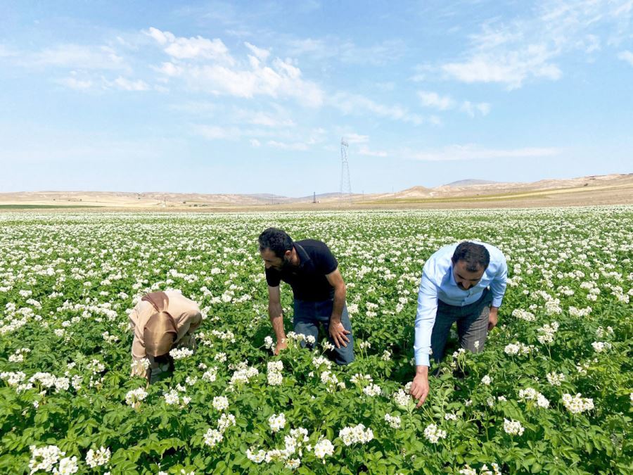Üreticiye Verilen Destek Artırılmalı