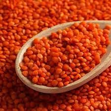 Şanlıbey Kırmızı Mercimek Çeşidine Ait Tohumluk Üretim ve Pazarlama Hakkı Satılacak