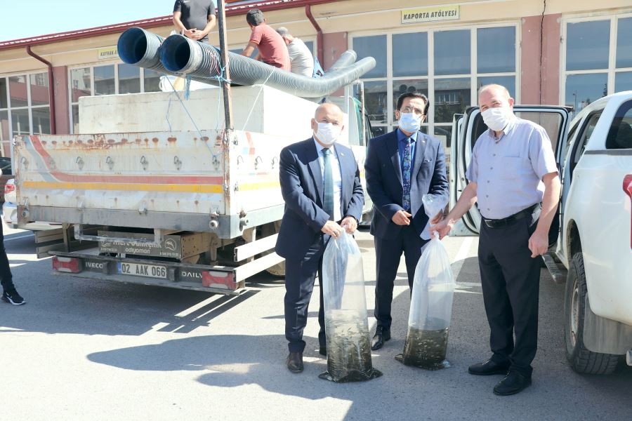 700 Bin Sazan Bırakıldı