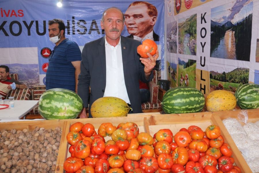 Koyulhisar Domatesi Coğrafi İşaret Tescil Belgesi Aldı