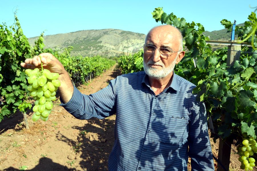 Günde 1 Ton Ürün Alıyor