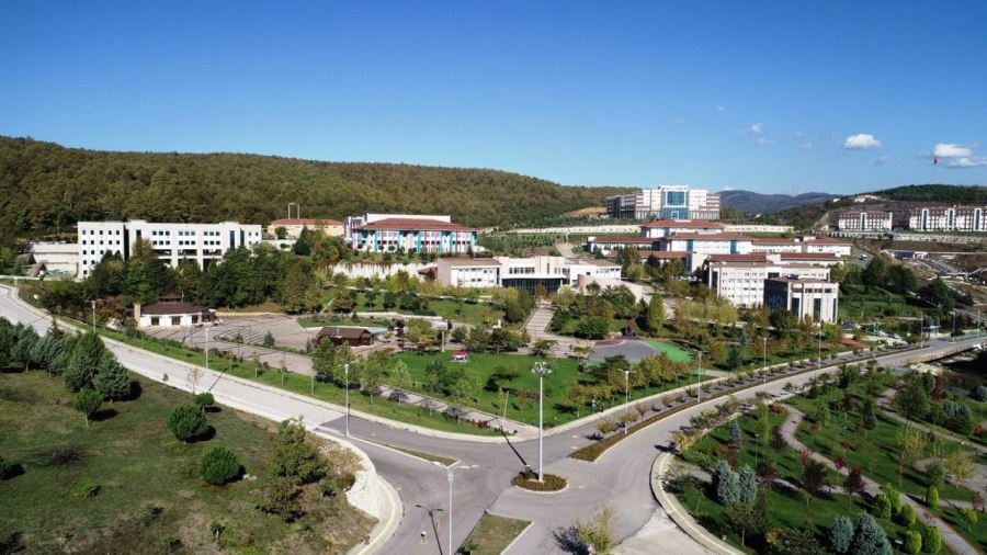 Düzce Üniversitesi Öğretim Elemanı alım ilanı