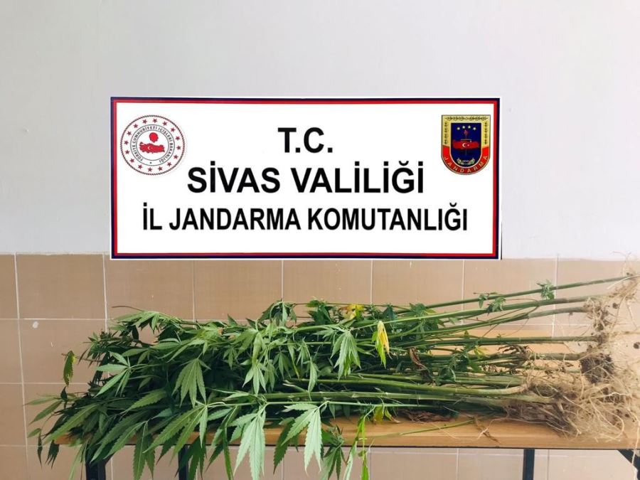 Jandarmadan Büyük Operasyon