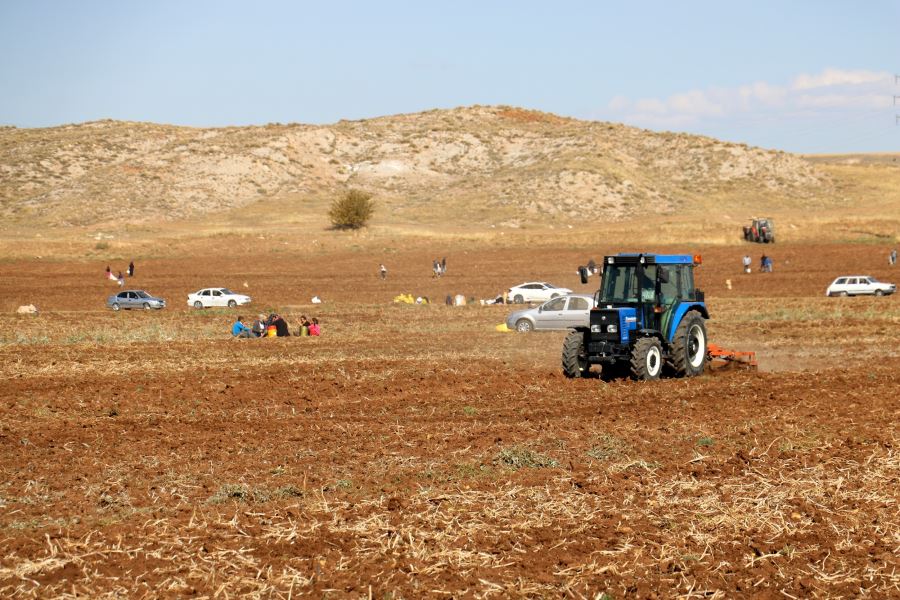 Onlarca Kişi Tarlaya Akın Etti