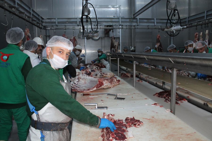 Günlük 2,5 Ton  Kavurma Üretiliyor
