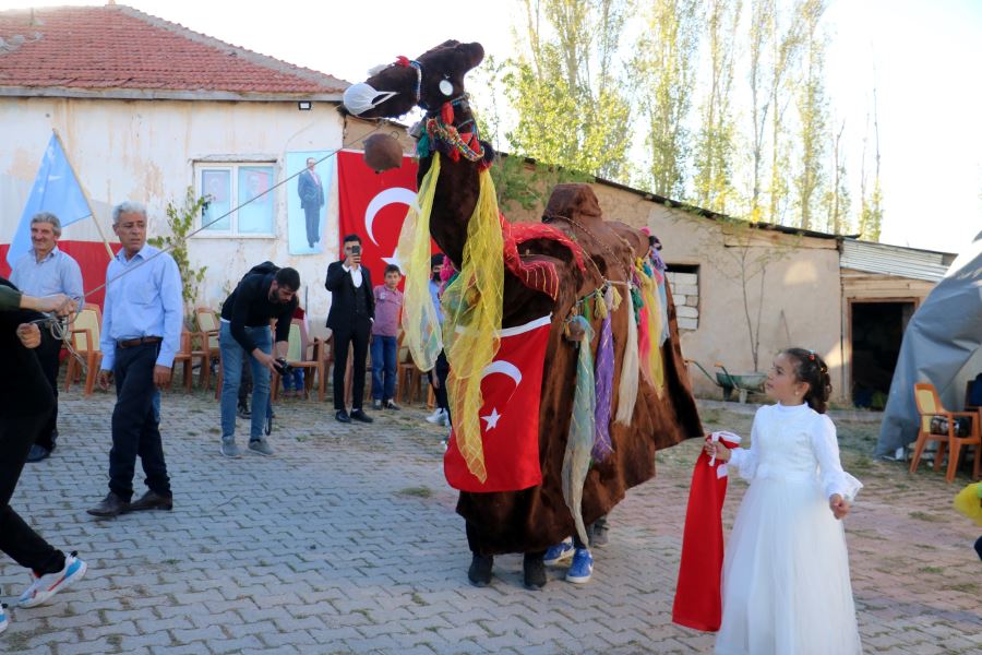 Deve Oyunu Halen Bozkırın En Gözde Düğün Eğlencesi