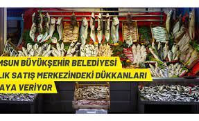 Samsun'da balık dükkanları kiraya verilecek