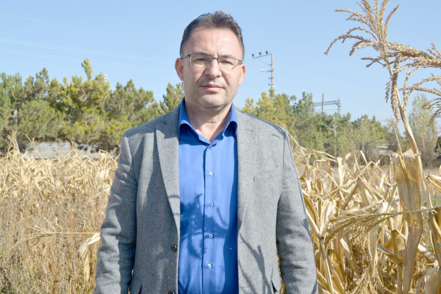 Kenevirde Umutlar Yönetmeliğe Takıldı