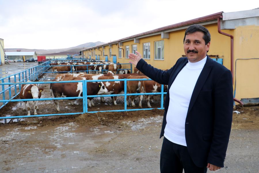 Bu Çiftlikte Bir Yandan Süt Bir Yandan Enerji Üretiliyor