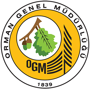 Orman Genel Müdürlüğü 22 Orman Mühendisi alacak
