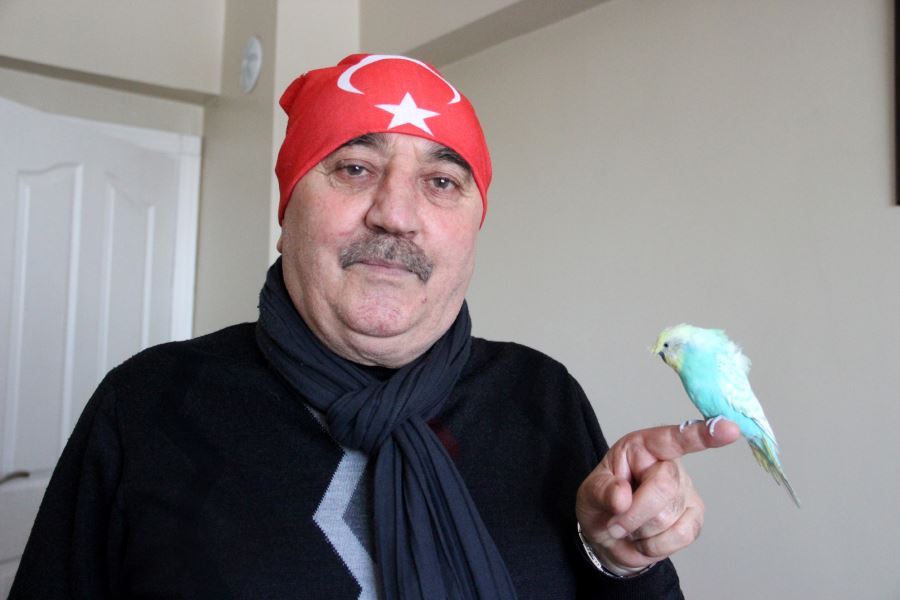 Bu Kuş Mehter Marşı Söylüyor