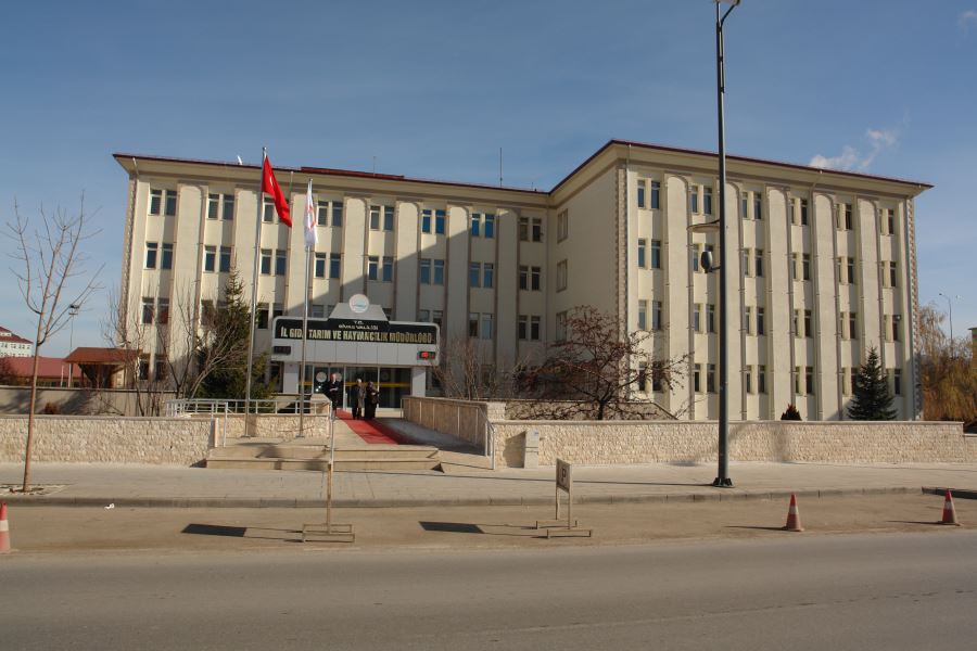 Balık Neslini Yok Etmeyelim