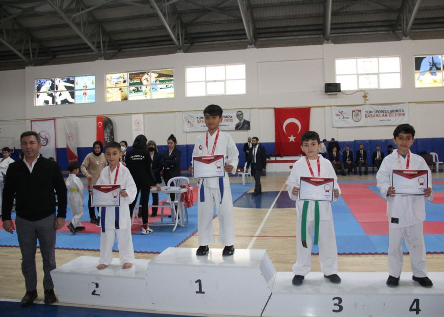 Karate Coşkusu