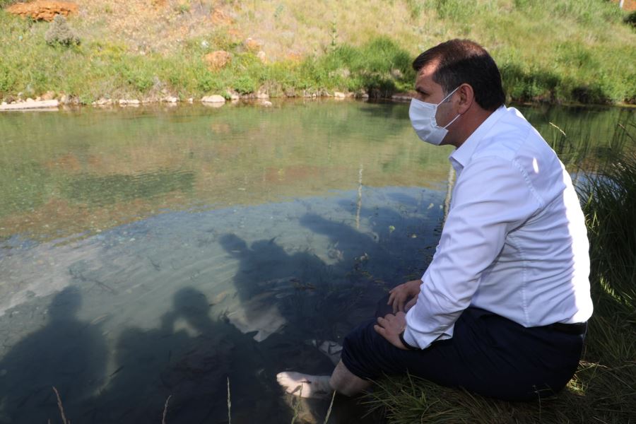 Gücümüze Güç Katacak