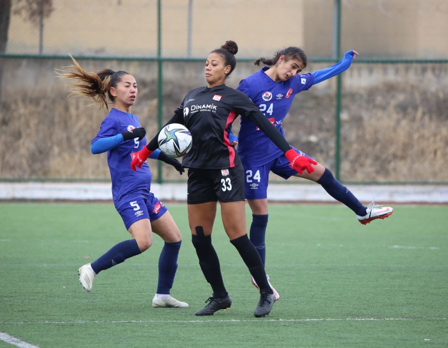 Hakkarigücü