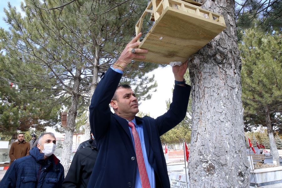 Kuş Yuvaları, Şehitlikteki Ağaçlara Asıldı