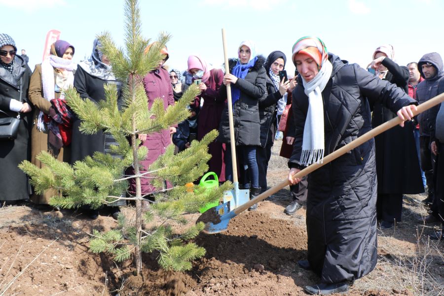 Saadet Fidanları Toprakla Buluşturdu