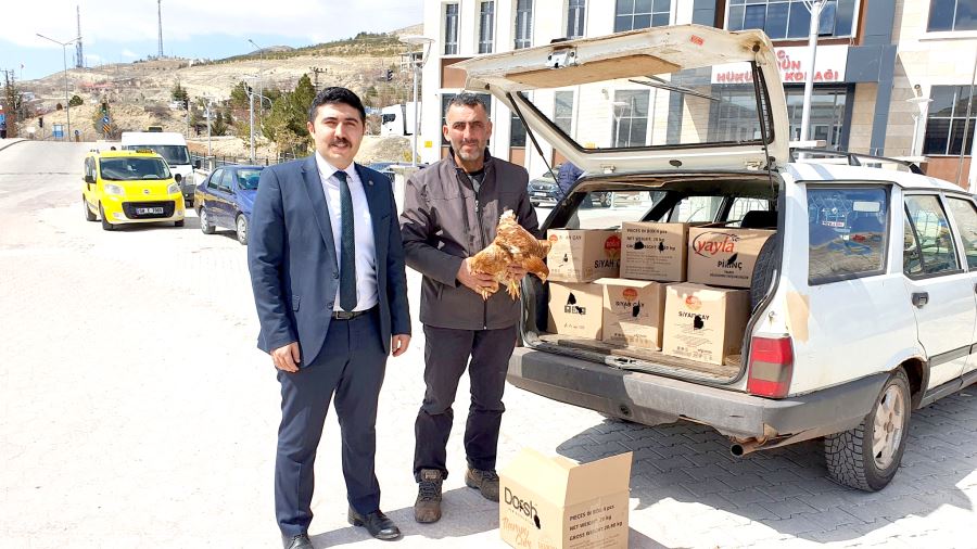 Hayvan Sevgisi Karşılıksız Kalmadı