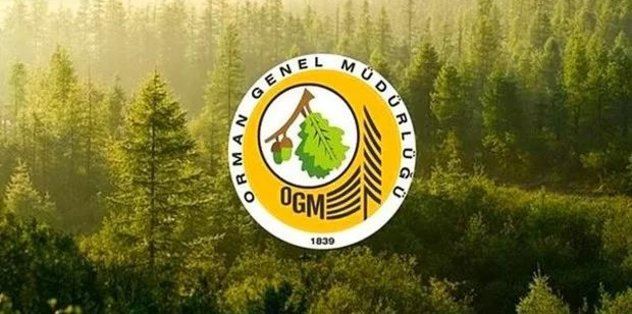 Orman Genel Müdürlüğü 1.833 Sözleşmeli Personel Alacak
