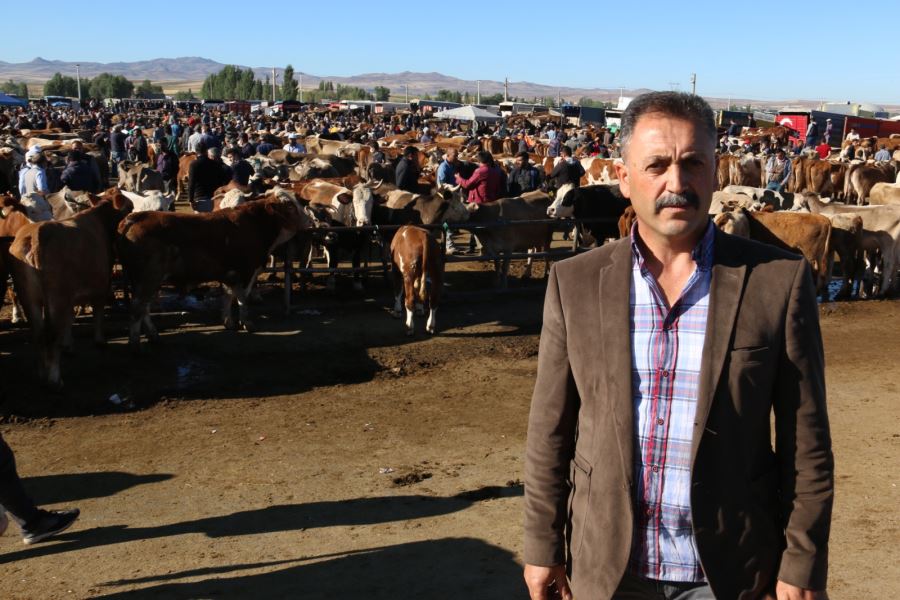 Buzağılar Kesime Gidiyor!
