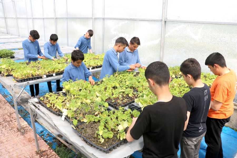 Bu Lisede Öğrenciler Traktör Sürüp Tarım Yapıyor