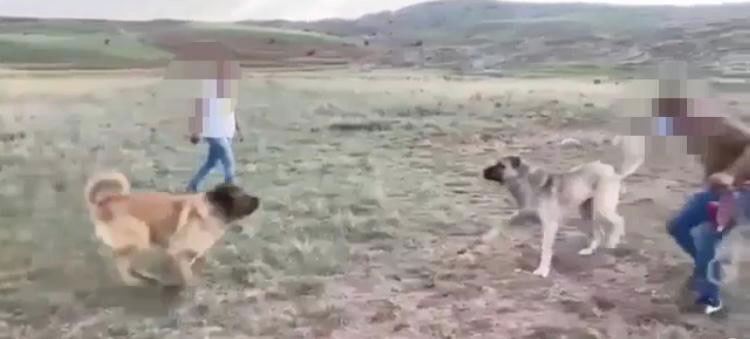 Bahis Oyunlarının Kurbanı Oluyorlar