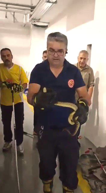 Yılanı Yine İtfaiyeciler Çıkardı--Video