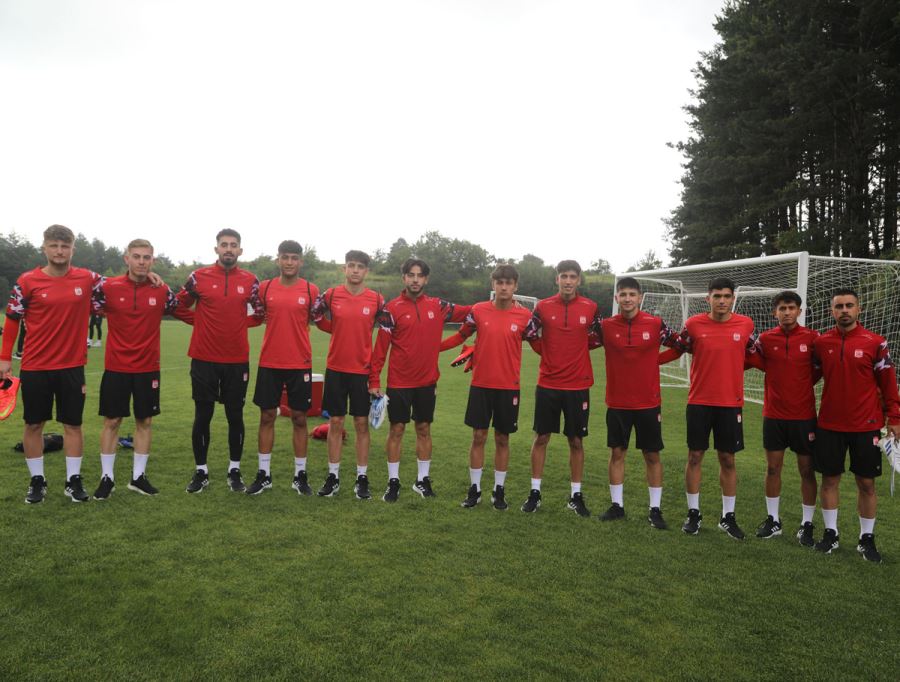 Demir Grup Sivasspor