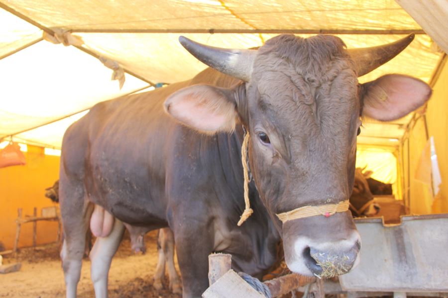 Kurban Kesim Yerleri Açıklandı
