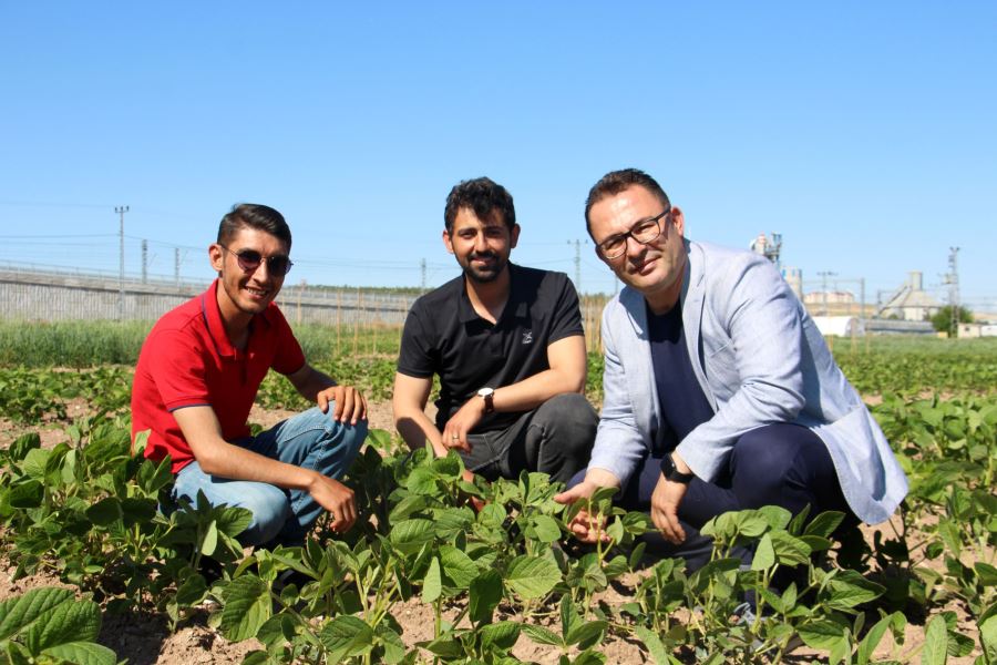 Islah Çalışmaları Dışa Bağımlılığı Bitirecek