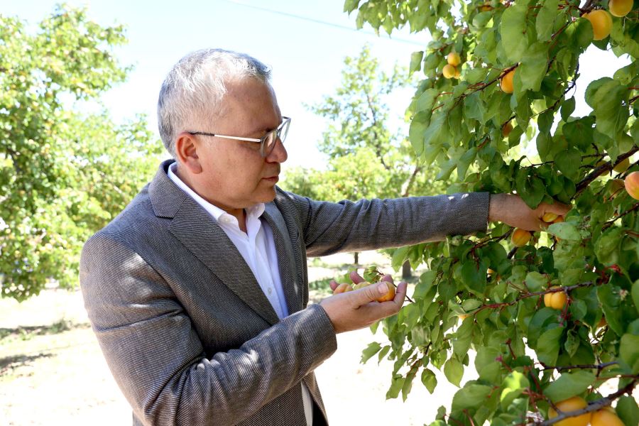  Kayısı Üretiminde Marka Olacak